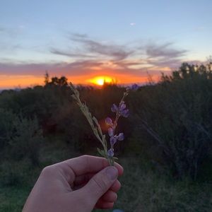 Meet your Posher, Michaela